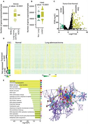 A Greedy Algorithm-Based Stem Cell LncRNA Signature Identifies a Novel Subgroup of Lung Adenocarcinoma Patients With Poor Prognosis
